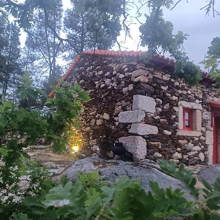 Sendim Casa Do Feitor - Douro - Quinta Da Cabrida别墅 外观 照片