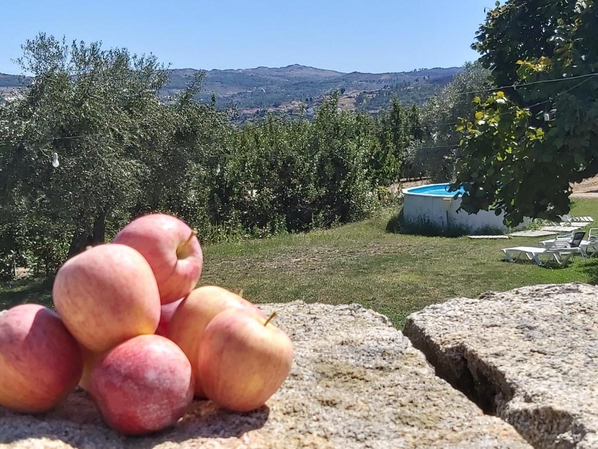 Sendim Casa Do Feitor - Douro - Quinta Da Cabrida别墅 外观 照片