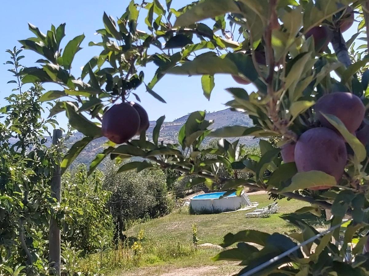 Sendim Casa Do Feitor - Douro - Quinta Da Cabrida别墅 外观 照片