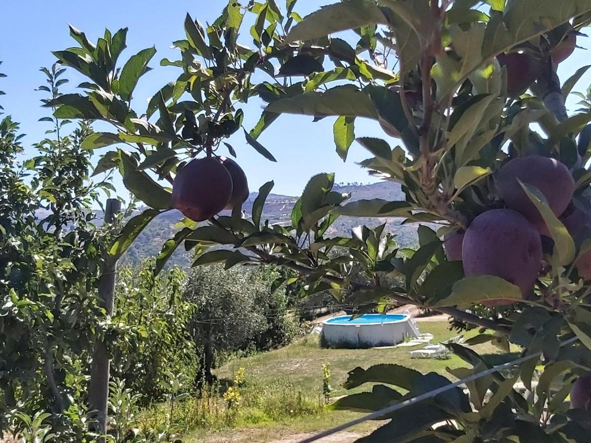 Sendim Casa Do Feitor - Douro - Quinta Da Cabrida别墅 外观 照片