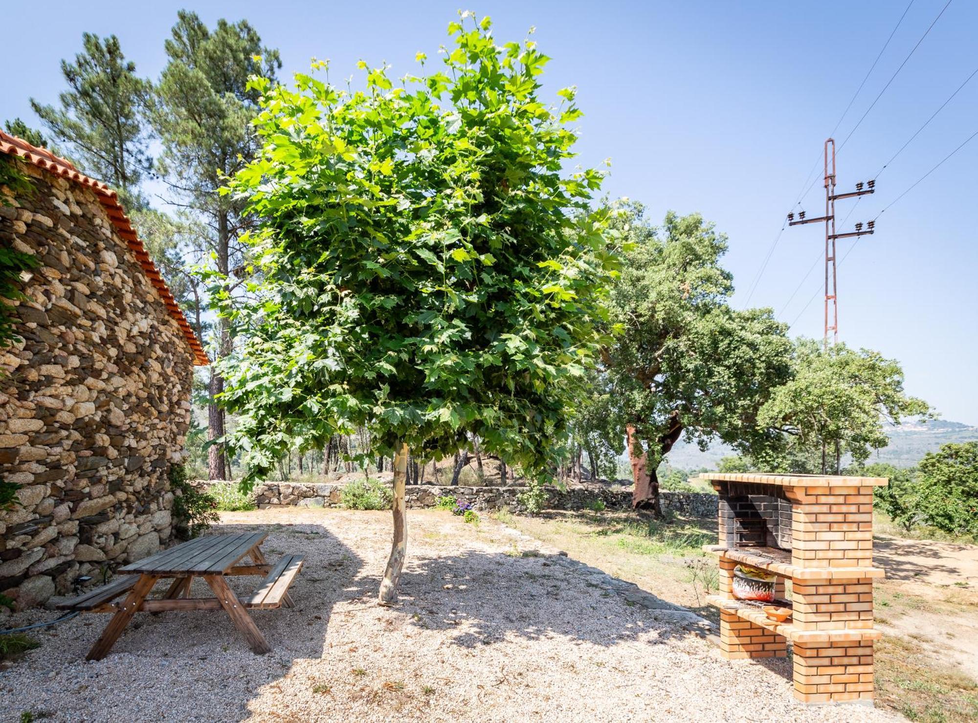 Sendim Casa Do Feitor - Douro - Quinta Da Cabrida别墅 外观 照片