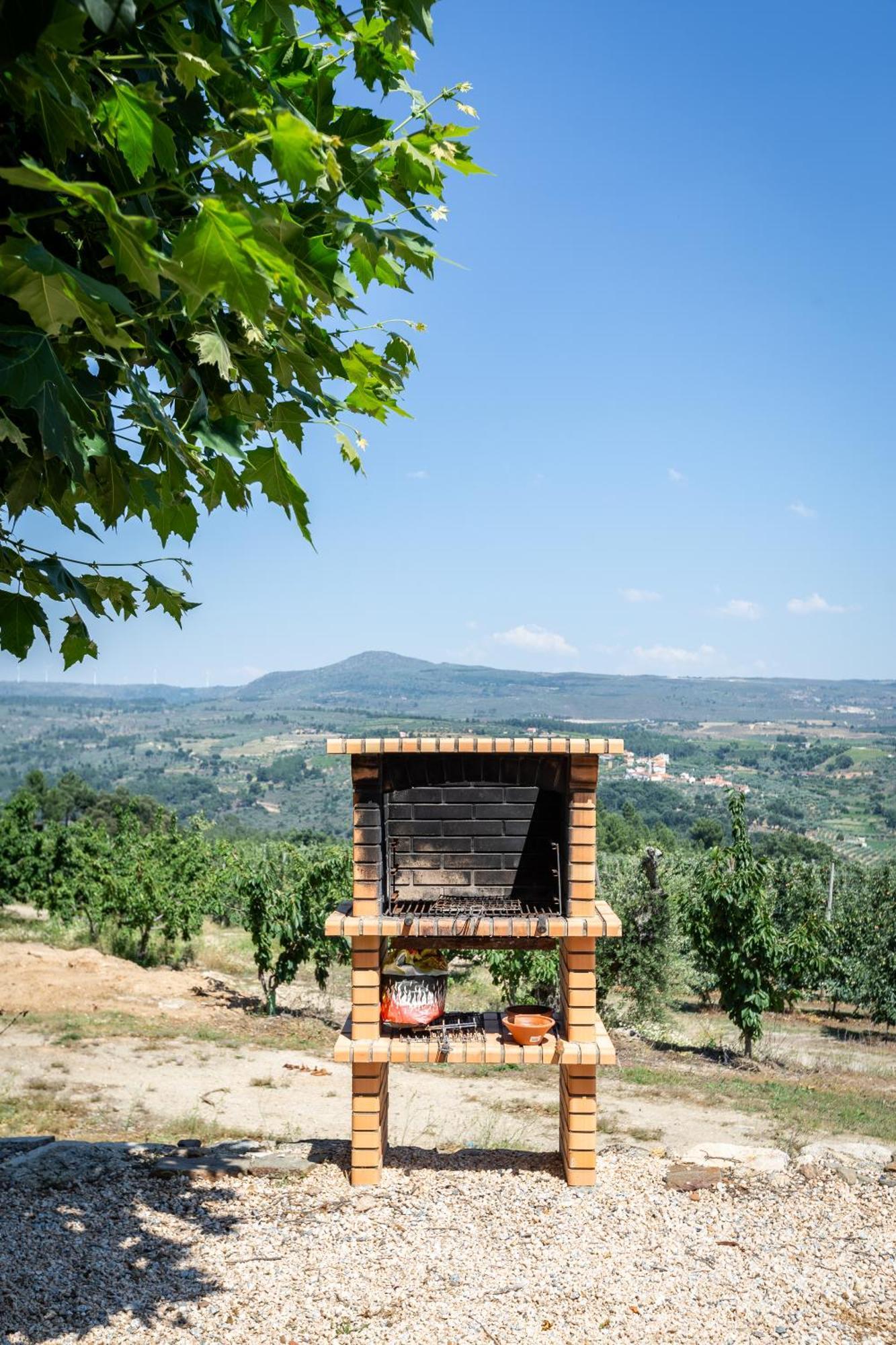 Sendim Casa Do Feitor - Douro - Quinta Da Cabrida别墅 外观 照片