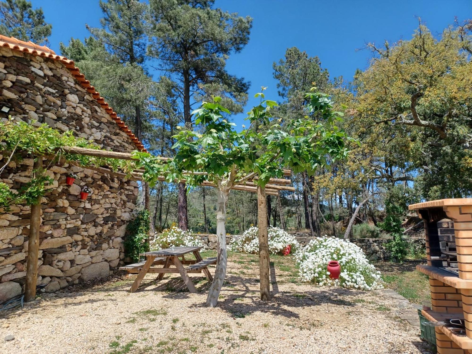 Sendim Casa Do Feitor - Douro - Quinta Da Cabrida别墅 外观 照片