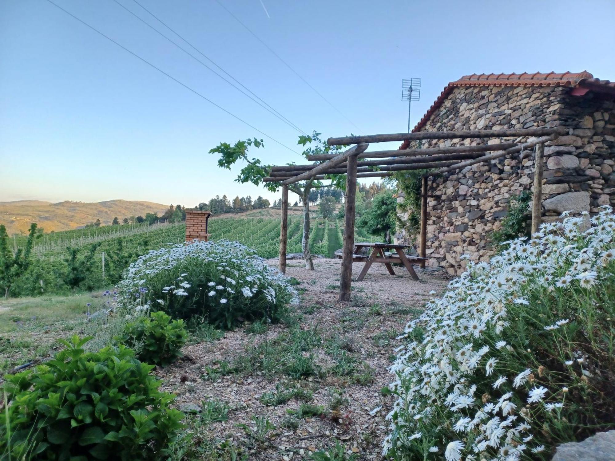 Sendim Casa Do Feitor - Douro - Quinta Da Cabrida别墅 外观 照片