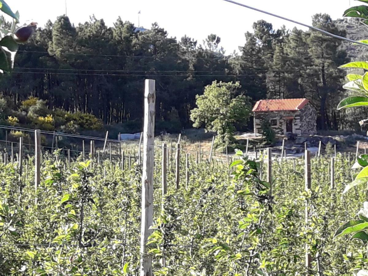 Sendim Casa Do Feitor - Douro - Quinta Da Cabrida别墅 外观 照片