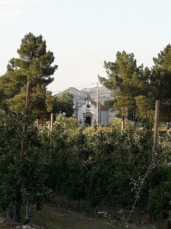 Sendim Casa Do Feitor - Douro - Quinta Da Cabrida别墅 外观 照片