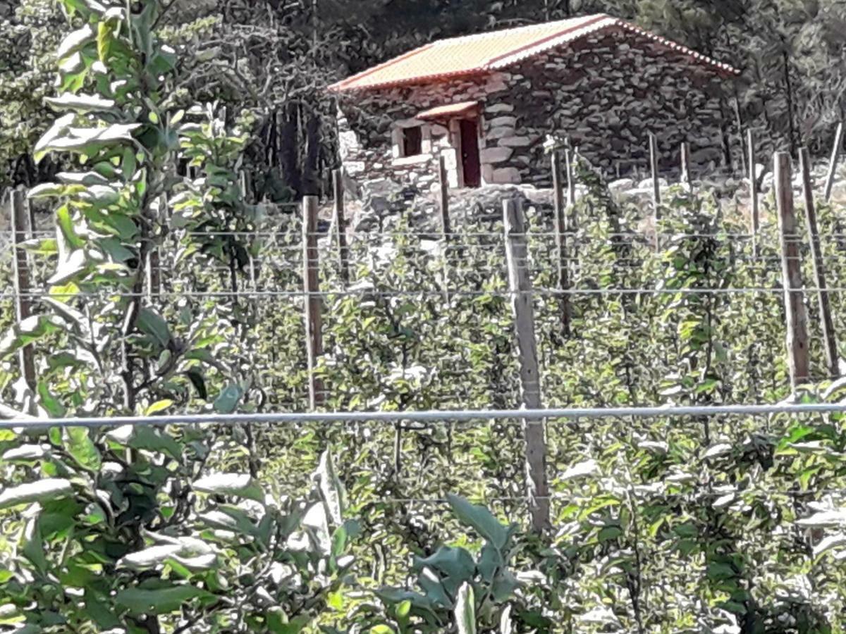 Sendim Casa Do Feitor - Douro - Quinta Da Cabrida别墅 外观 照片