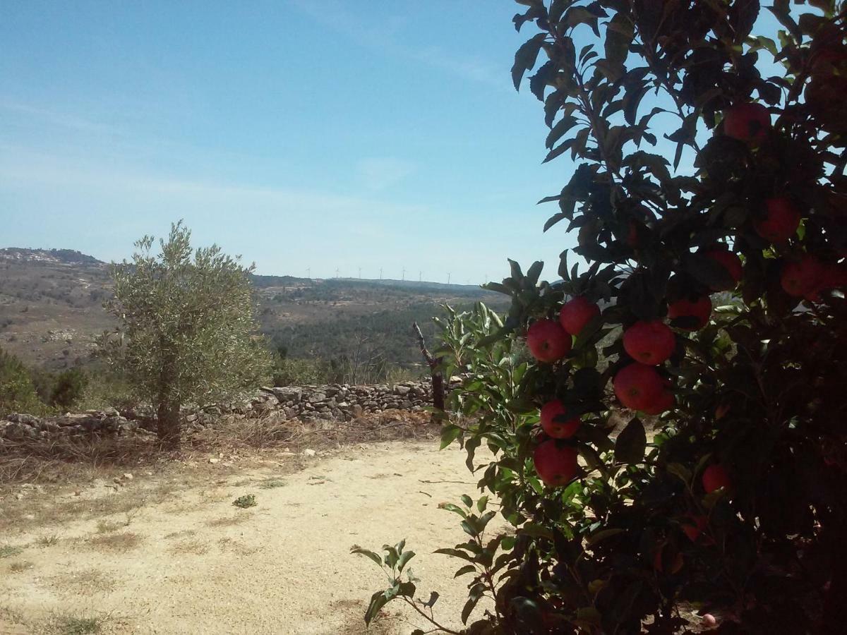 Sendim Casa Do Feitor - Douro - Quinta Da Cabrida别墅 外观 照片