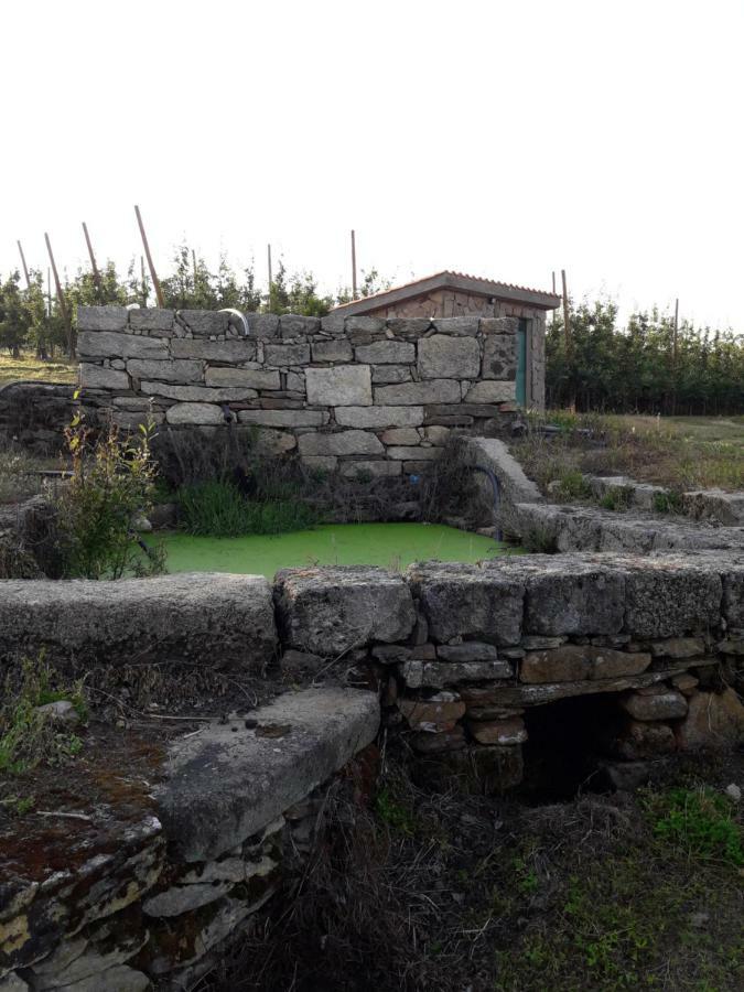Sendim Casa Do Feitor - Douro - Quinta Da Cabrida别墅 外观 照片
