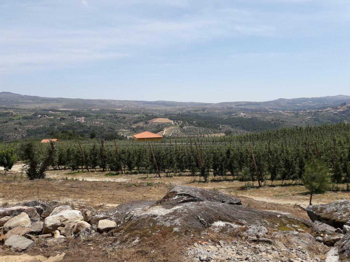 Sendim Casa Do Feitor - Douro - Quinta Da Cabrida别墅 外观 照片