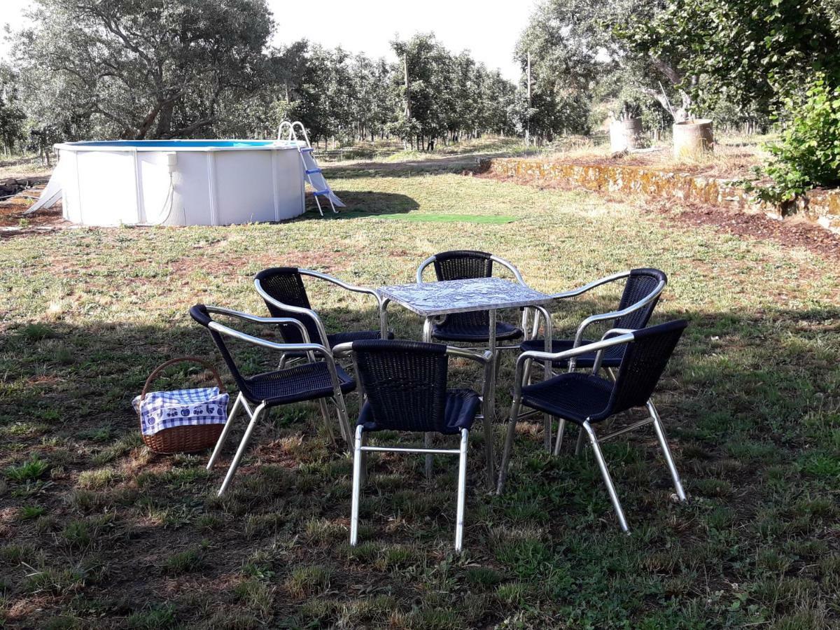 Sendim Casa Do Feitor - Douro - Quinta Da Cabrida别墅 外观 照片
