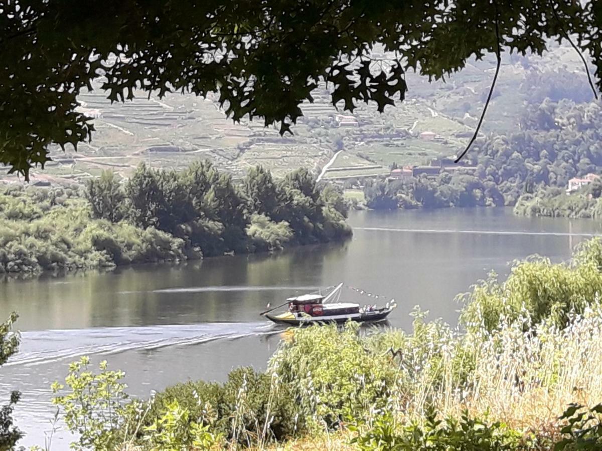 Sendim Casa Do Feitor - Douro - Quinta Da Cabrida别墅 外观 照片