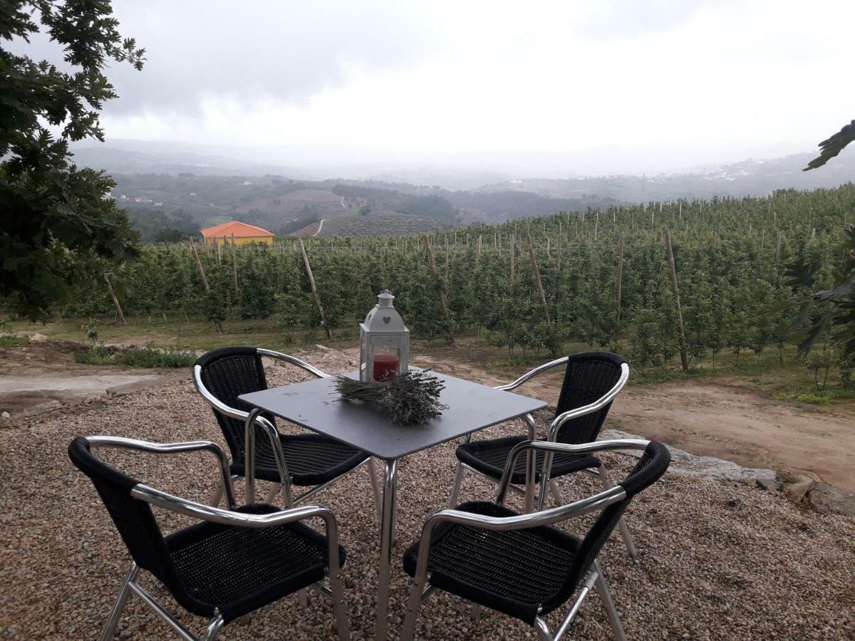 Sendim Casa Do Feitor - Douro - Quinta Da Cabrida别墅 外观 照片