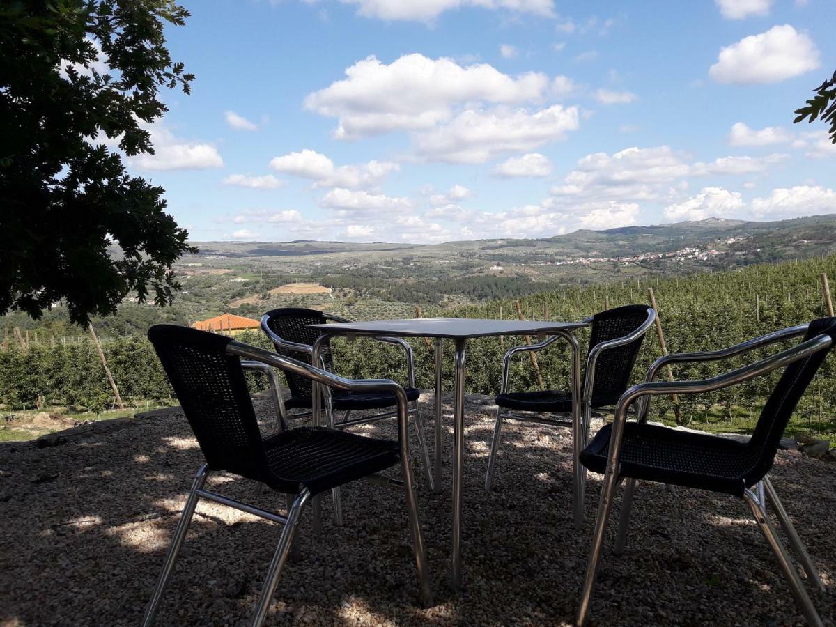 Sendim Casa Do Feitor - Douro - Quinta Da Cabrida别墅 外观 照片