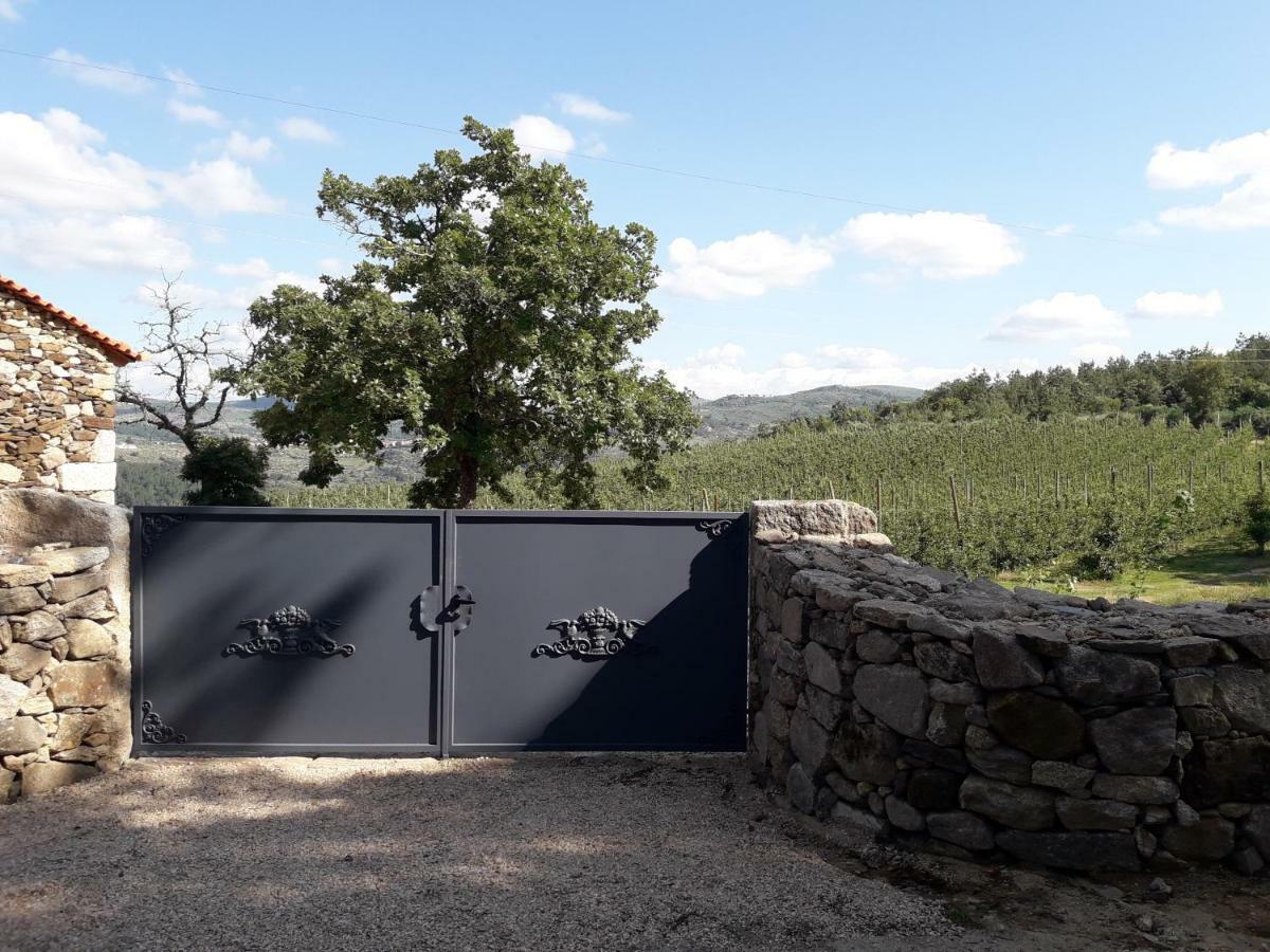 Sendim Casa Do Feitor - Douro - Quinta Da Cabrida别墅 外观 照片