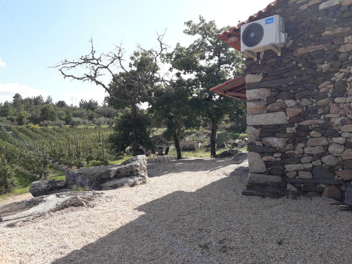 Sendim Casa Do Feitor - Douro - Quinta Da Cabrida别墅 外观 照片