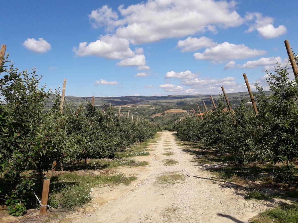 Sendim Casa Do Feitor - Douro - Quinta Da Cabrida别墅 外观 照片