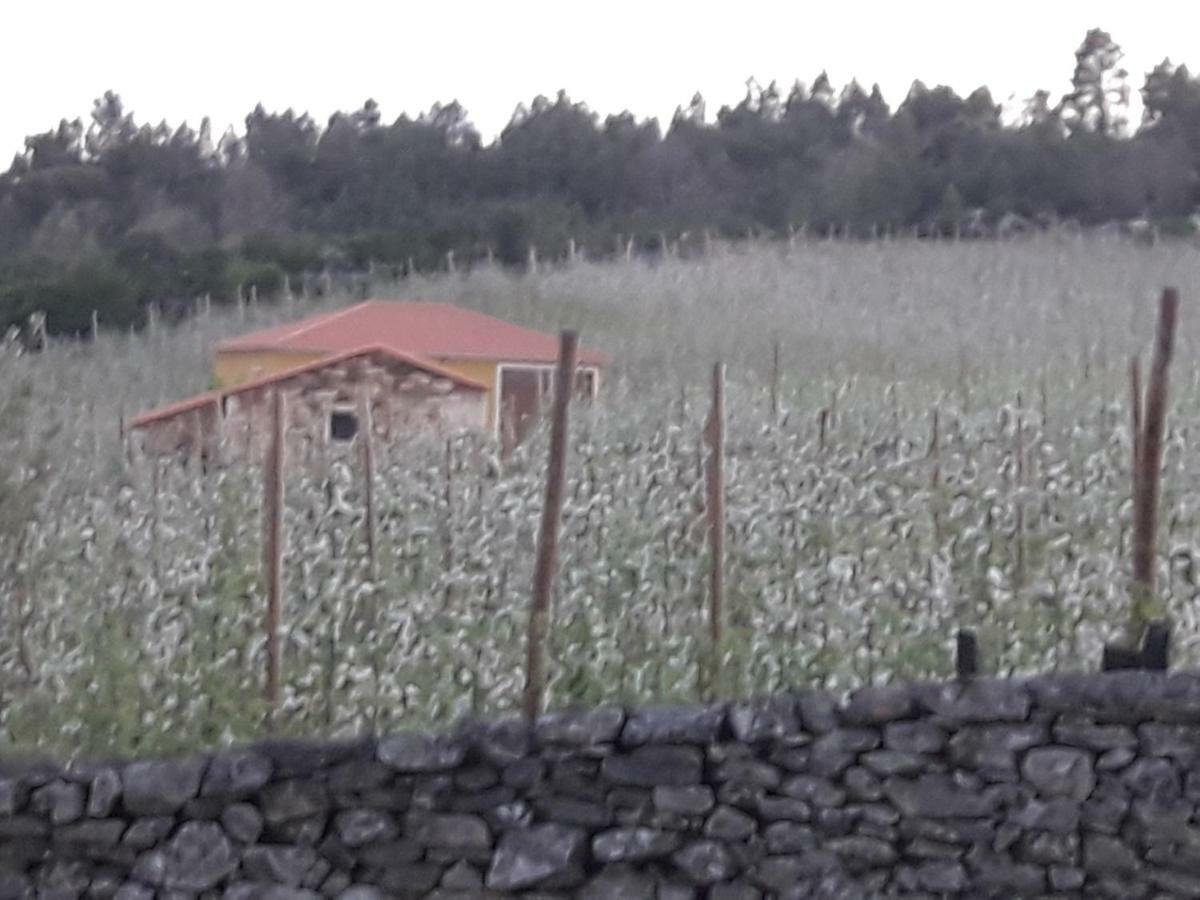 Sendim Casa Do Feitor - Douro - Quinta Da Cabrida别墅 外观 照片