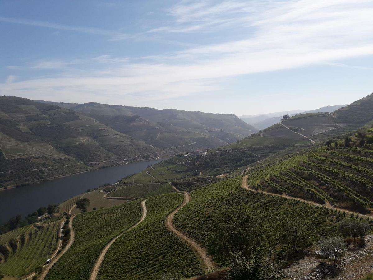 Sendim Casa Do Feitor - Douro - Quinta Da Cabrida别墅 外观 照片