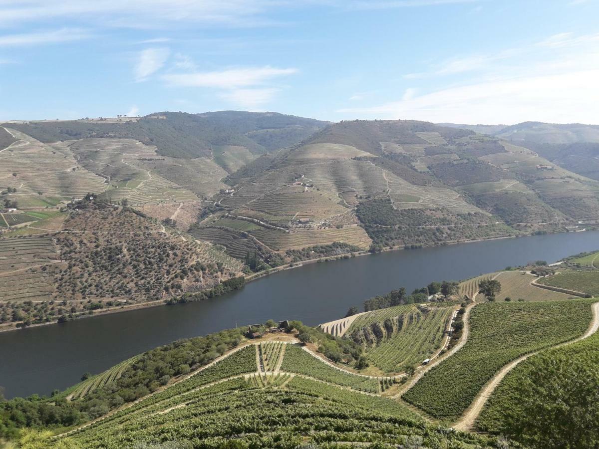 Sendim Casa Do Feitor - Douro - Quinta Da Cabrida别墅 外观 照片