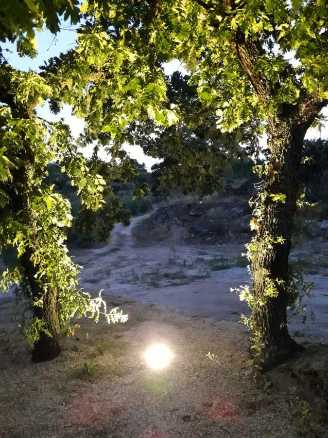 Sendim Casa Do Feitor - Douro - Quinta Da Cabrida别墅 外观 照片