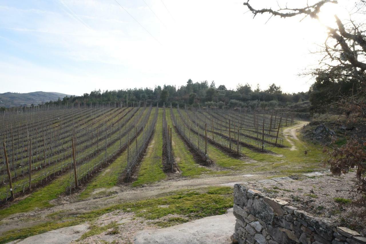 Sendim Casa Do Feitor - Douro - Quinta Da Cabrida别墅 外观 照片