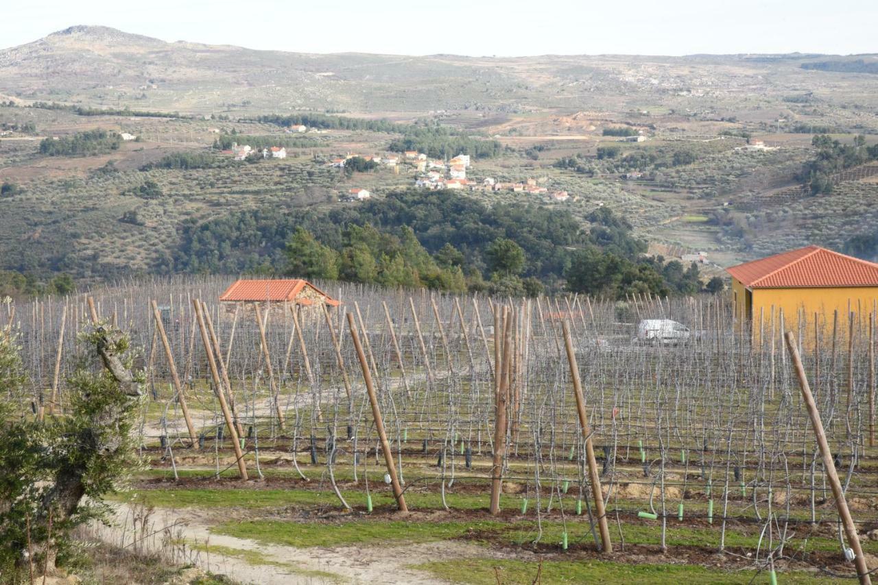 Sendim Casa Do Feitor - Douro - Quinta Da Cabrida别墅 外观 照片